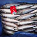 Precios baratos Fisherel Fish 100-200g a la venta